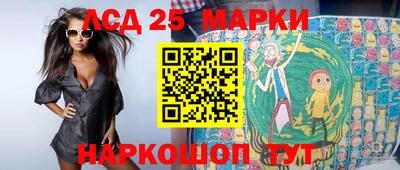 гашик Будённовск