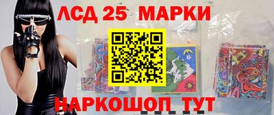 гашик Будённовск