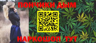 гашик Будённовск