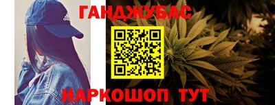 гашик Будённовск