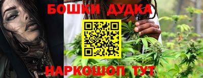 гашик Будённовск
