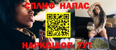 гашик Будённовск