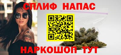 гашик Будённовск