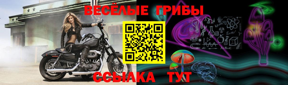 Ливны  где купить наркоту  Вход с VPN  Галлюциногенные грибы Psilocybine cubensis 